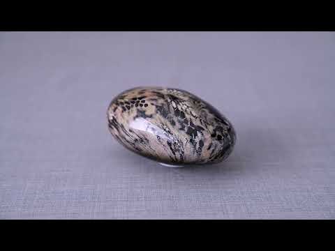 
                  
                    Load and play video in Gallery viewer, Snake Pet Urn - Beige | Ceramic | HydroGraphics
                  
                