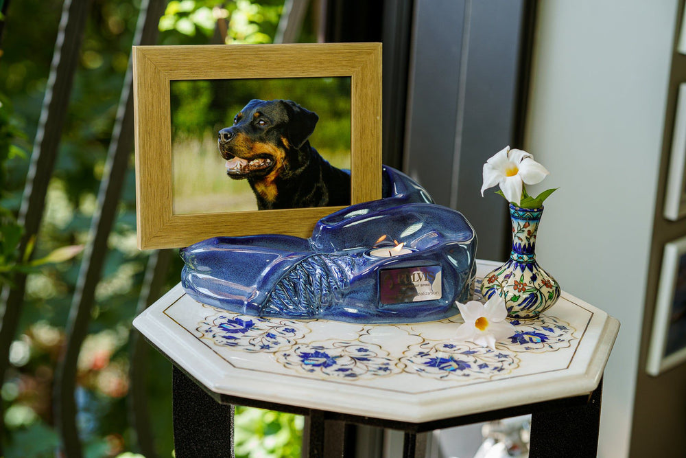 Modern pet urn with photo frame by online HUVE collection