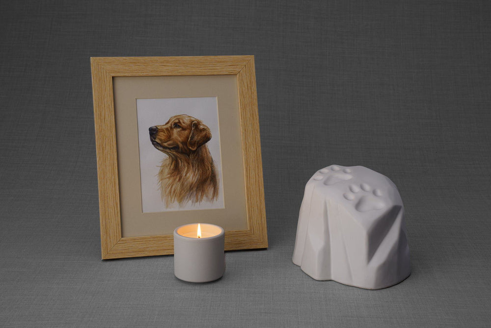 
                  
                    Pulvis Art Urns Memorial Bundle Paw Print Memorial Bundle - 4 Pieces - Portrait | Urn | Nameplate Holder | Scented Candle
                  
                